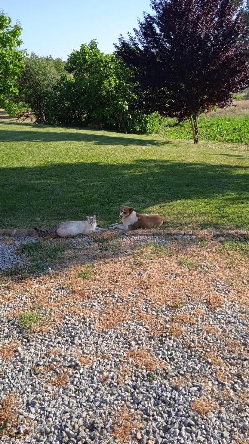 فيلا Casa Rural Camino Del Alentejo La Codosera المظهر الخارجي الصورة