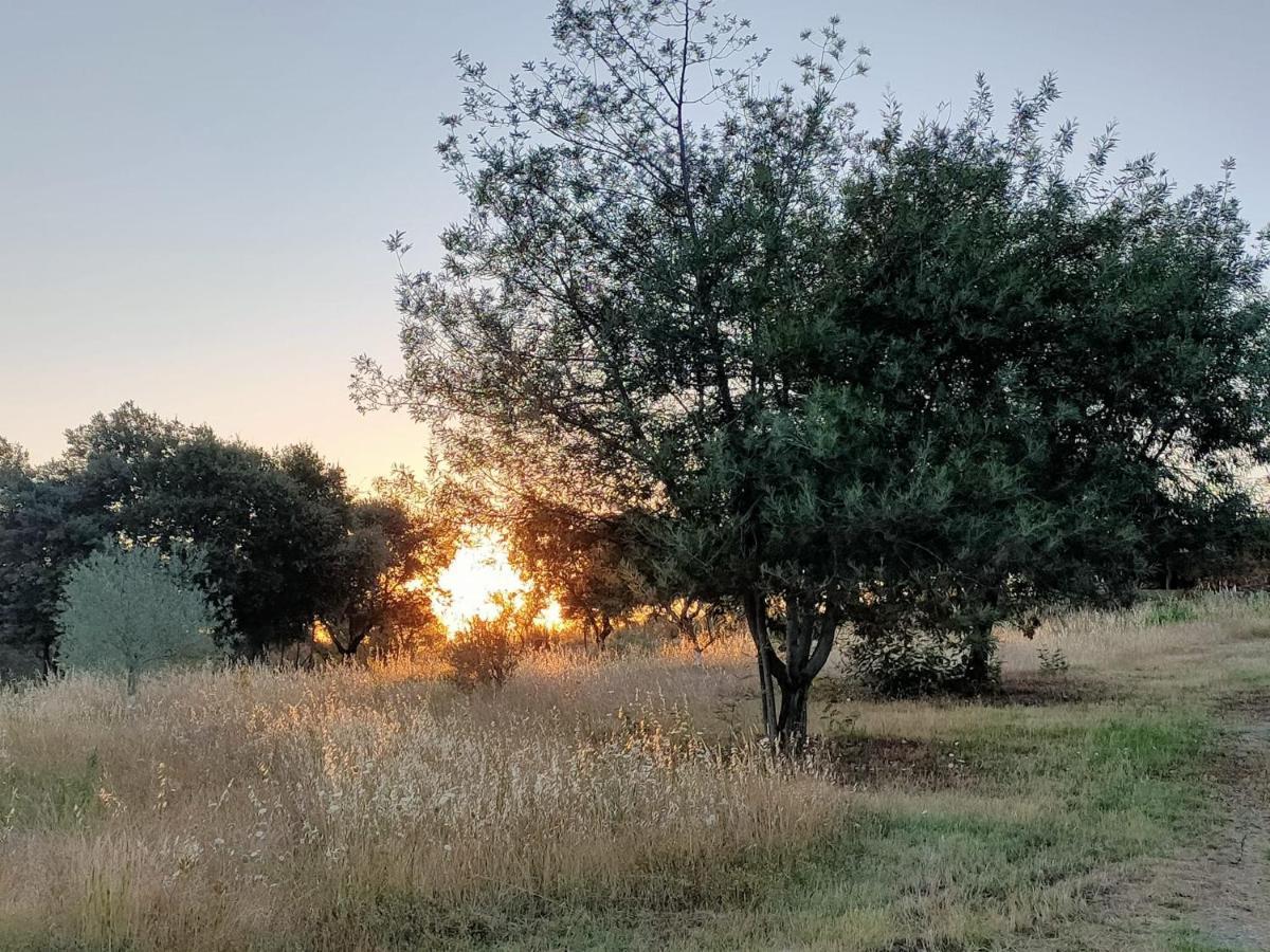 فيلا Casa Rural Camino Del Alentejo La Codosera المظهر الخارجي الصورة