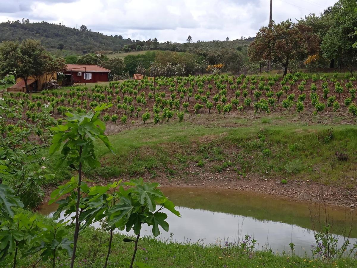 فيلا Casa Rural Camino Del Alentejo La Codosera المظهر الخارجي الصورة