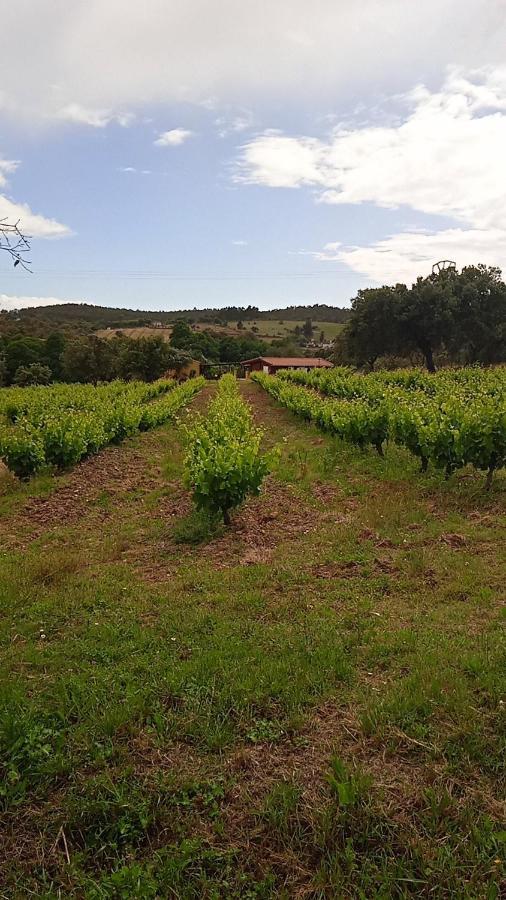 فيلا Casa Rural Camino Del Alentejo La Codosera المظهر الخارجي الصورة