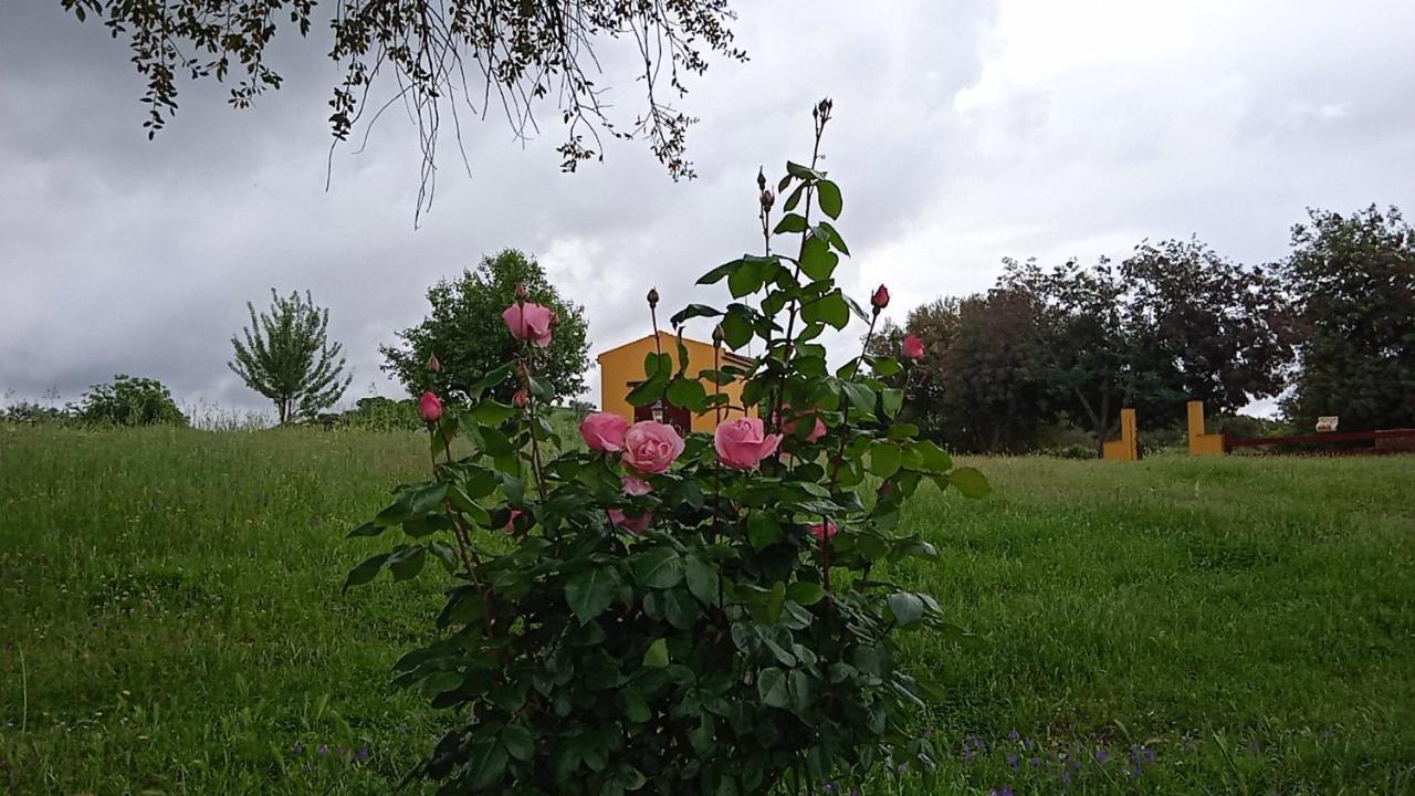 فيلا Casa Rural Camino Del Alentejo La Codosera المظهر الخارجي الصورة