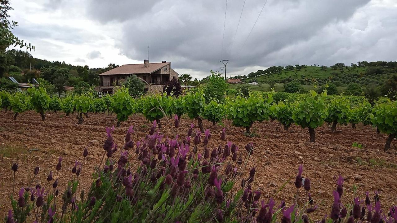 فيلا Casa Rural Camino Del Alentejo La Codosera المظهر الخارجي الصورة