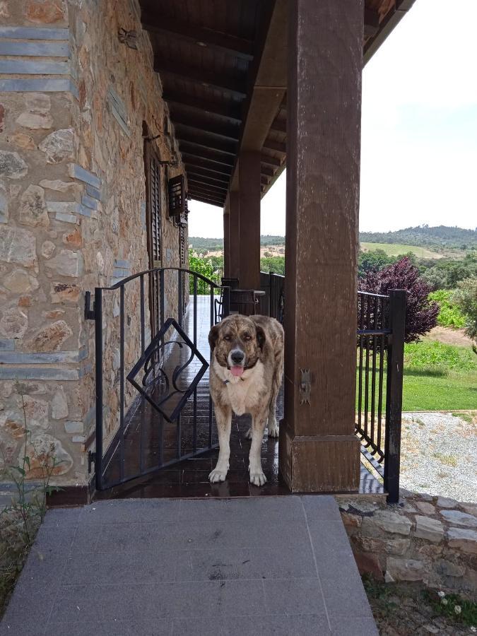 فيلا Casa Rural Camino Del Alentejo La Codosera المظهر الخارجي الصورة