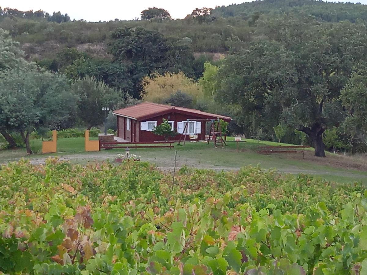 فيلا Casa Rural Camino Del Alentejo La Codosera المظهر الخارجي الصورة