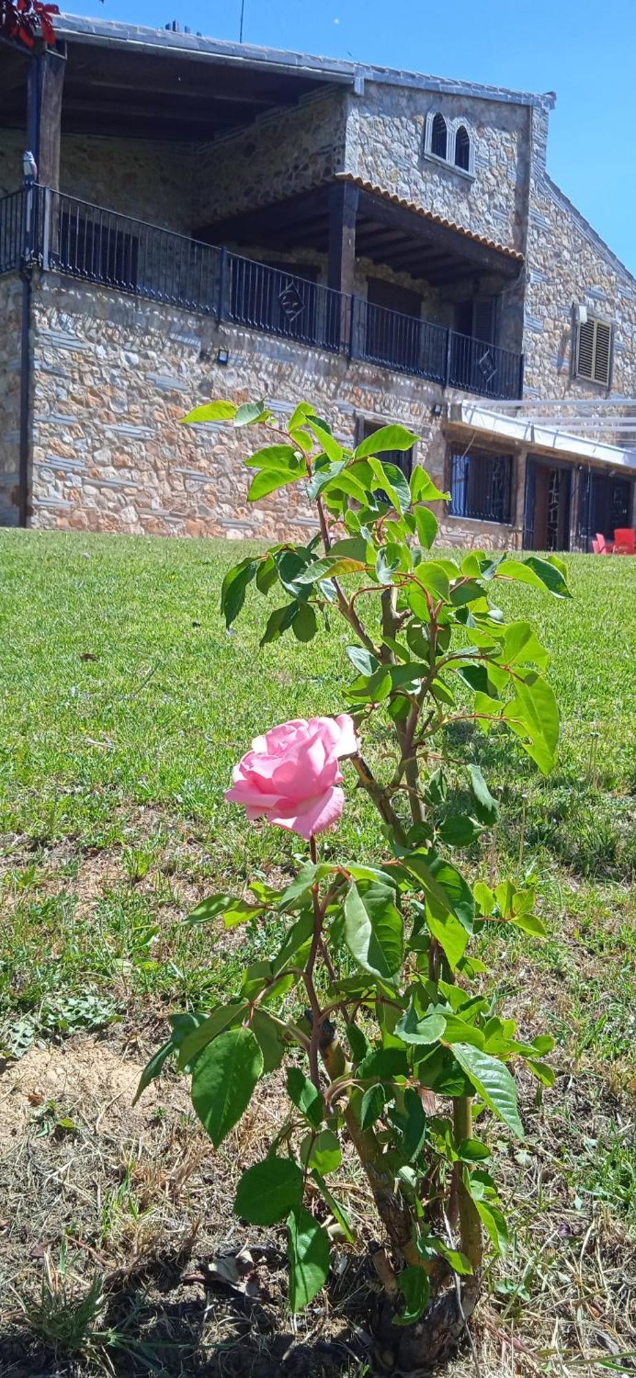 فيلا Casa Rural Camino Del Alentejo La Codosera المظهر الخارجي الصورة