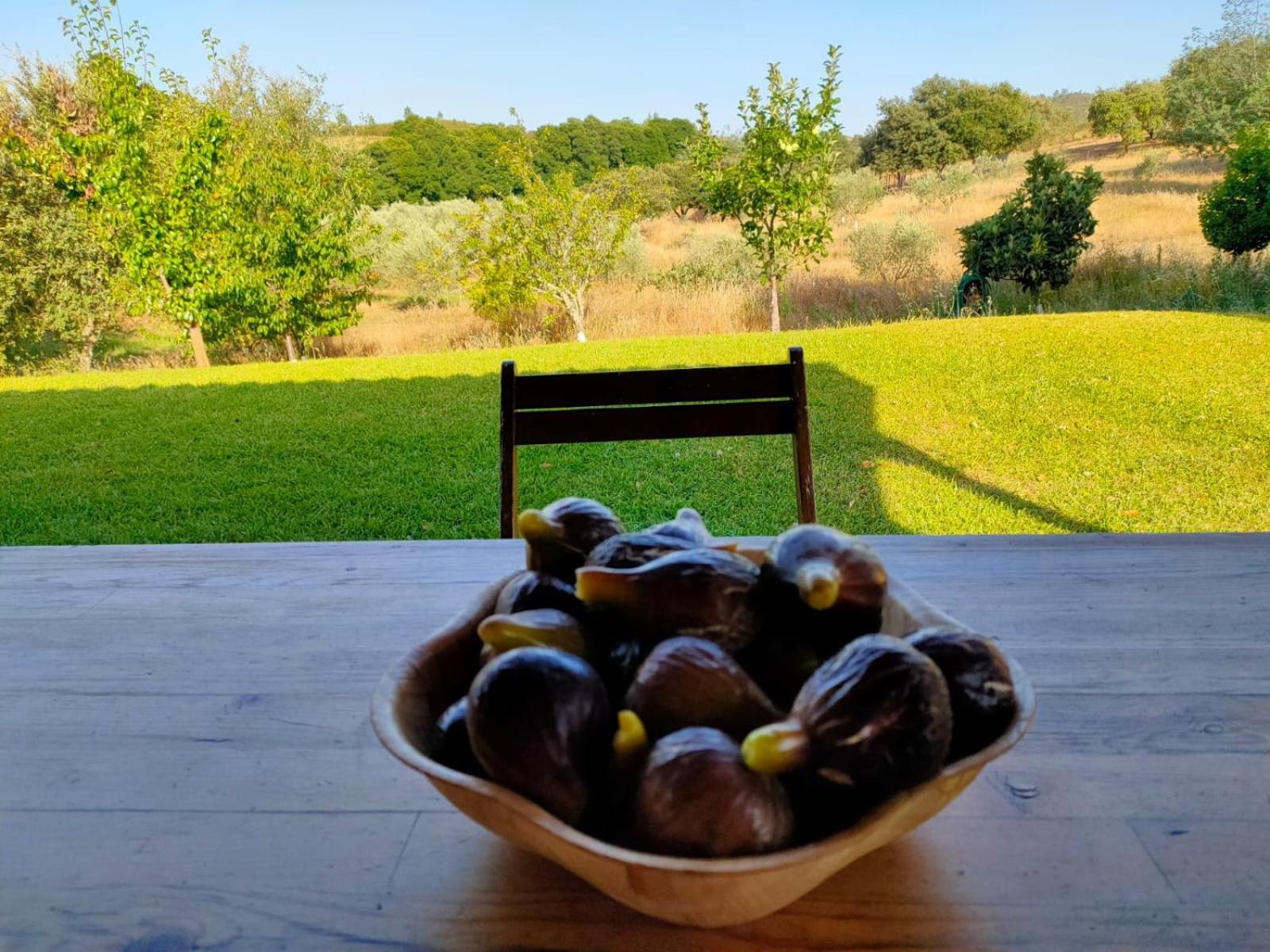 فيلا Casa Rural Camino Del Alentejo La Codosera الغرفة الصورة